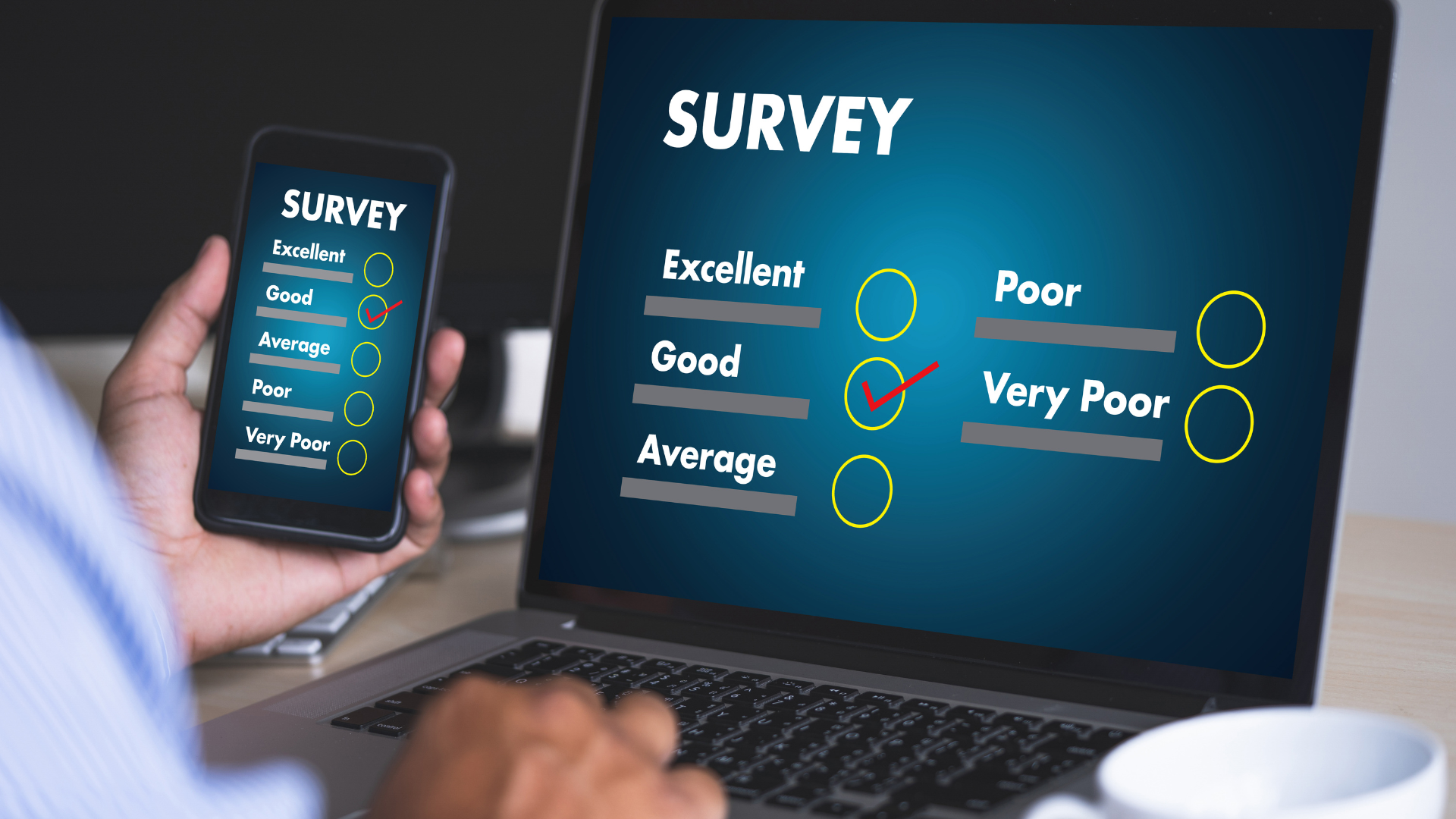 free survey maker